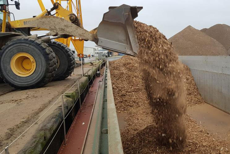 Hackschnitzel-Cuxhaven-Holzhackschnitzel-kaufen-Machulez-M-Logistik
